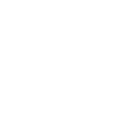 raised paw icon - white