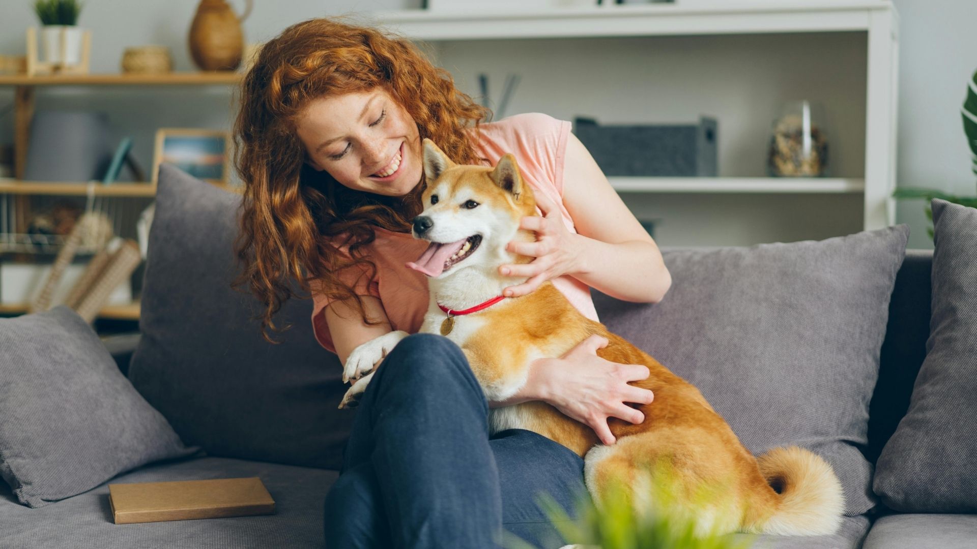 A person with curly red hair petting a Shiba Inu dog on a grey sofa.