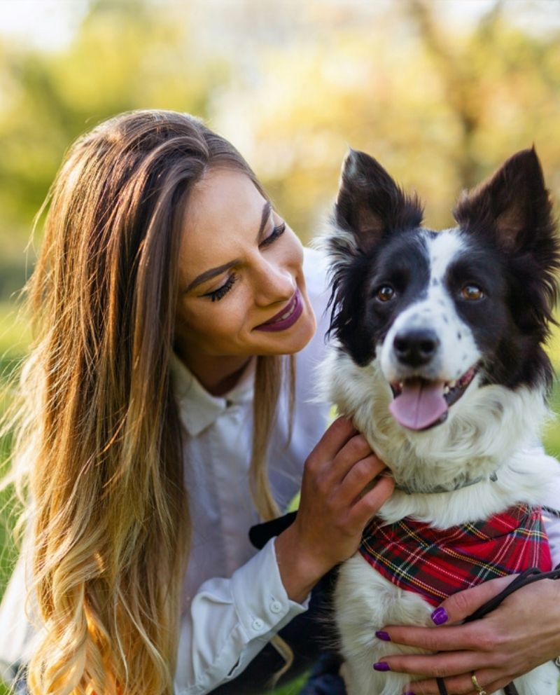 A person with blonde hair and a white shirt pets a black and white border collie wearing a red plaid bandana outdoors on a sunny day.