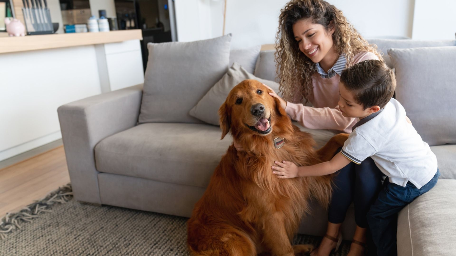 A person and a child pet a golden retriever dog while sitting on a couch.