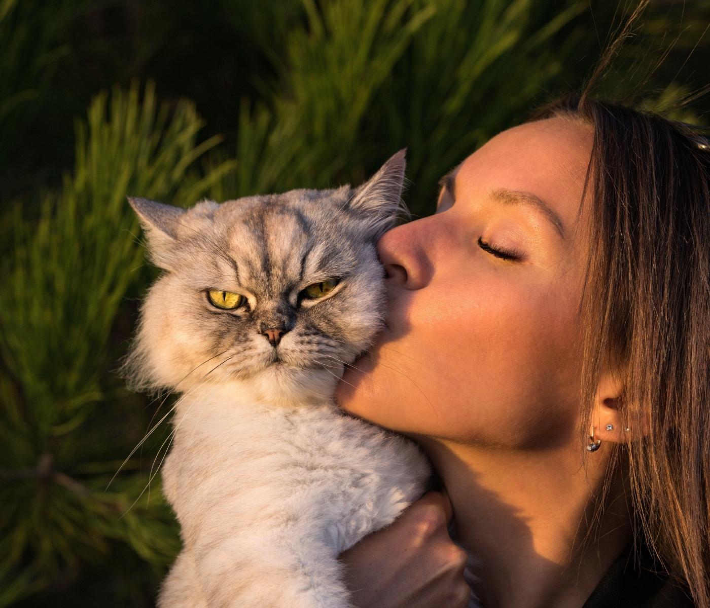 A person is kissing a fluffy grey cat with yellow eyes on the cheek. The cat looks grumpy. In the background, there are green pine needles and sunlight is shining on the side of the person's face and neck.