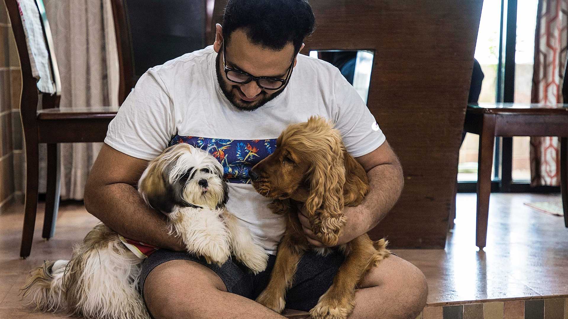 A person sits on the floor, holding two dogs: a small white and brown shih tzu and a medium-sized golden cocker spaniel.